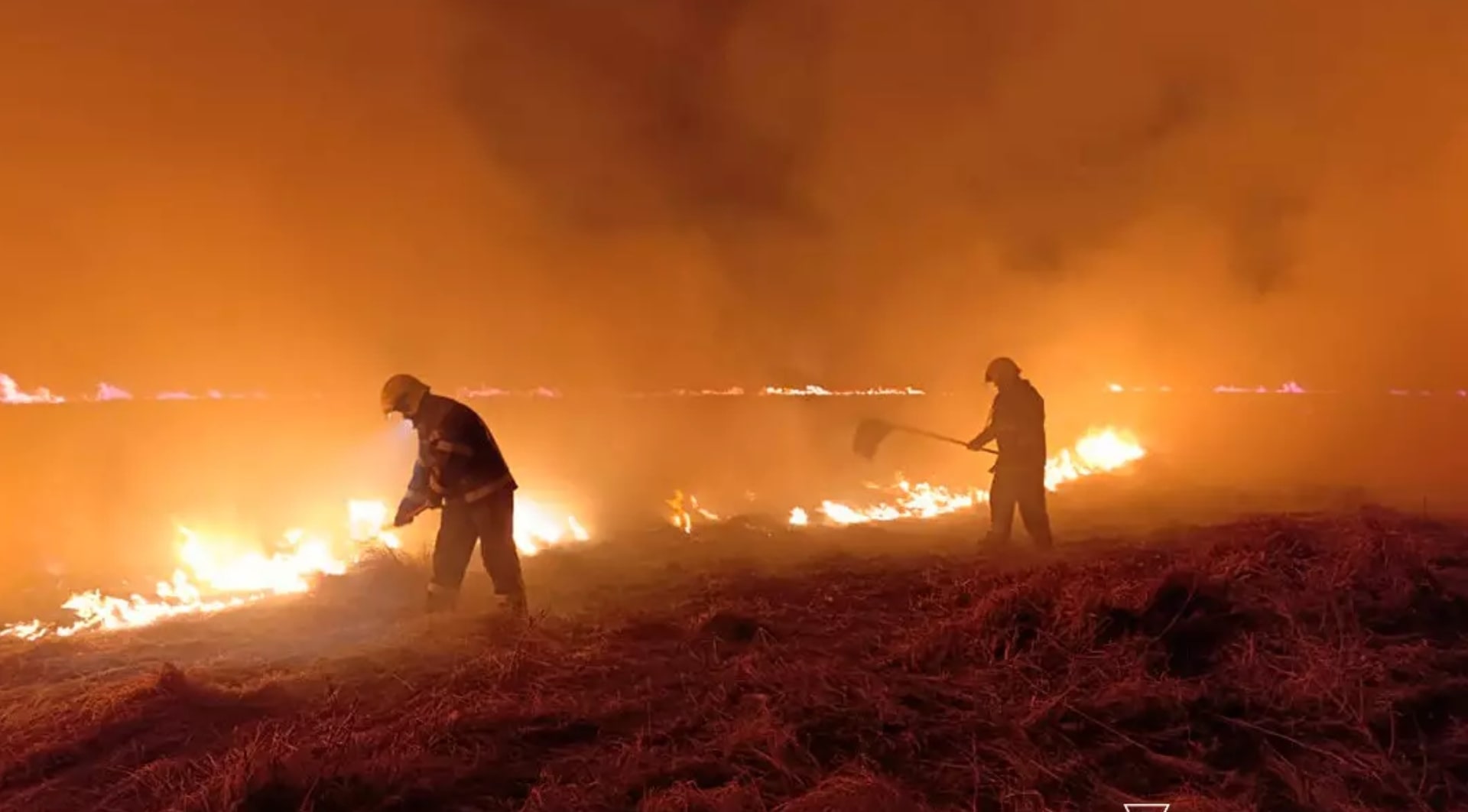 Фото: ДСНС Дніпропетровщини