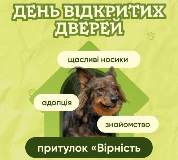 «День відкритих дверей у притулку «Вірність»