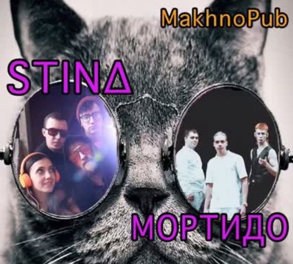 Концерт гуртів «STINA» і «Мортидо»
