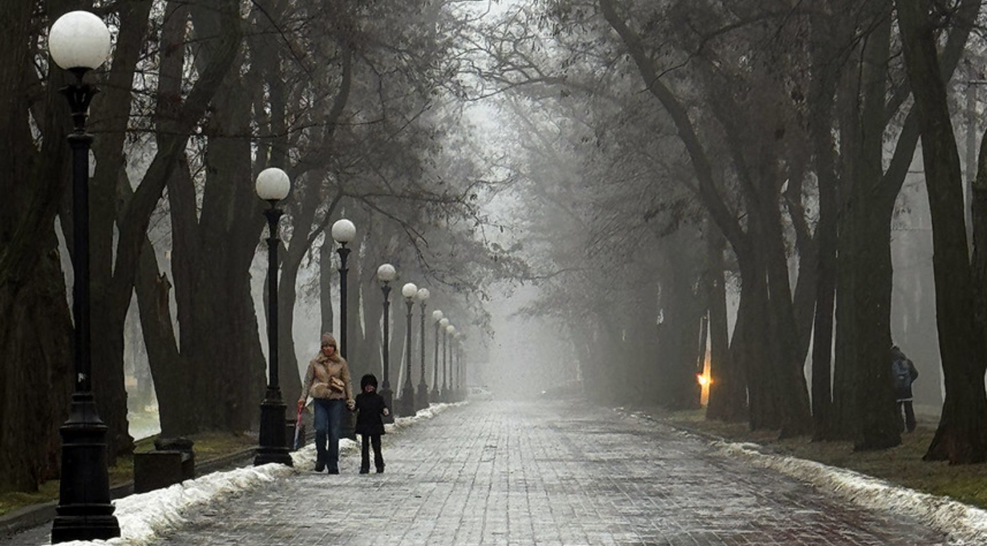 У Дніпрі оголосили тендер на прибирання парків і скверів