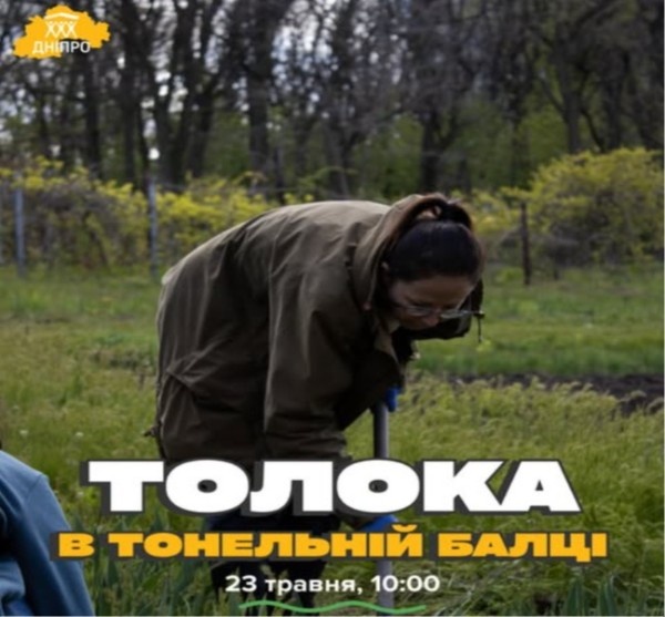 Толока в Тонельній балці в Дніпрі